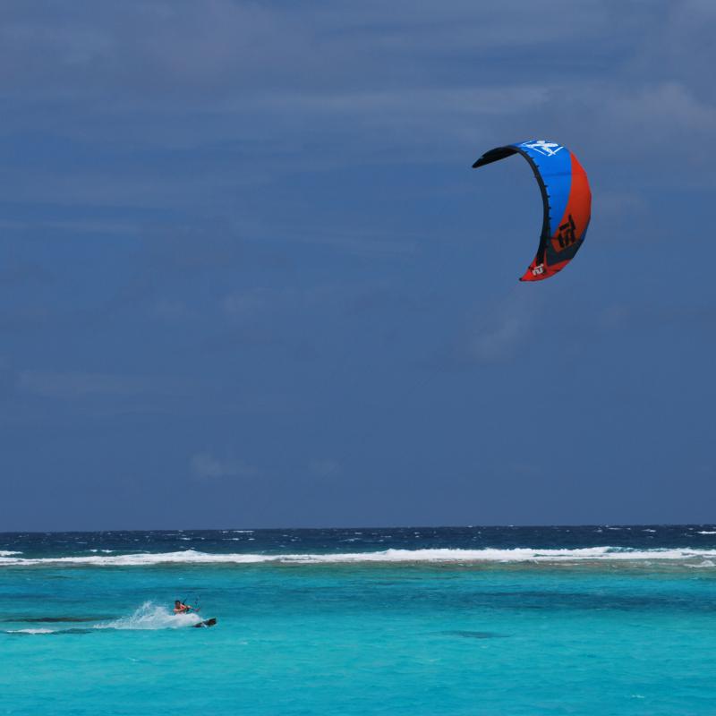 fotogallerie